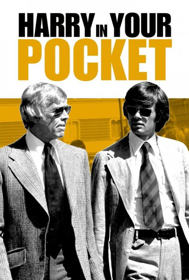 Гарри-карманник Гарри-карманник