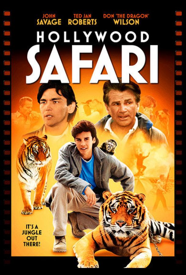 Голливудское сафари Голливудское сафари