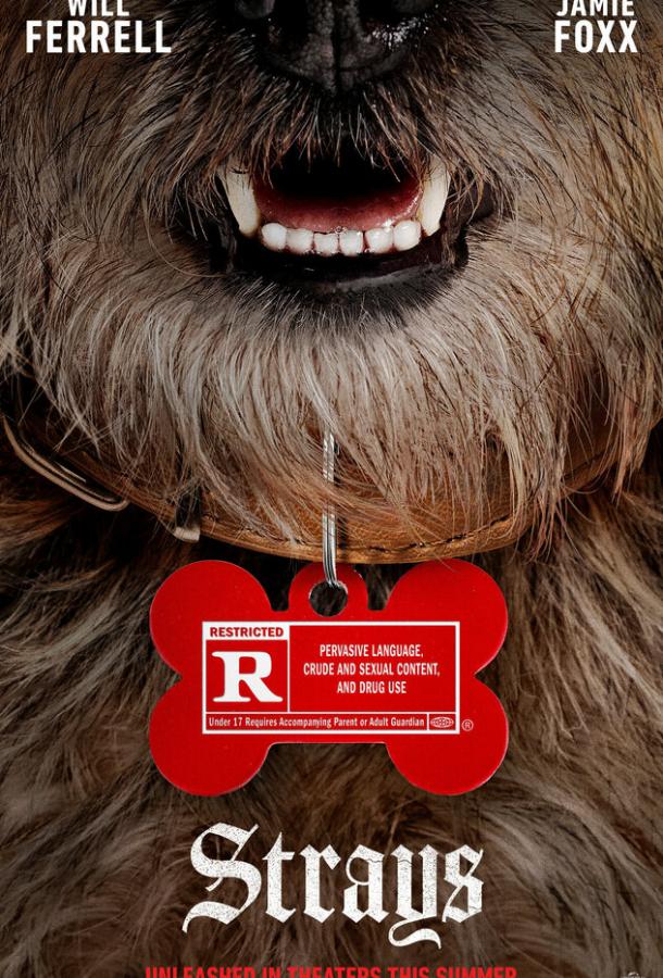 Отвязные дворняги Отвязные дворняги