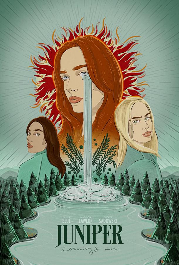 Можжевельник Можжевельник