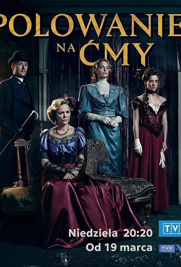 Охота на мотыльков Охота на мотыльков