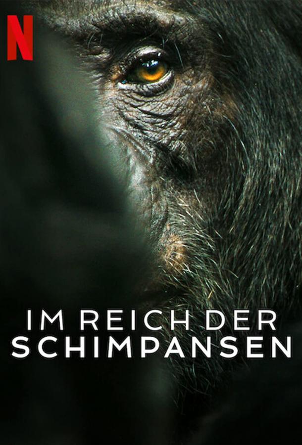 Империя шимпанзе Империя шимпанзе