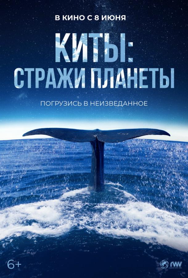 Киты: Стражи планеты Киты: Стражи планеты