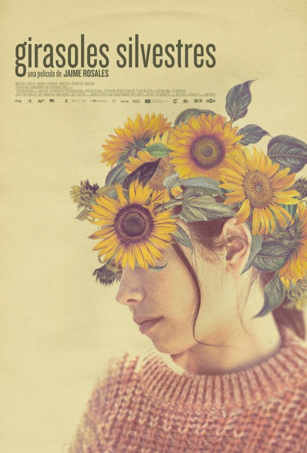 Дикие подсолнухи Дикие подсолнухи