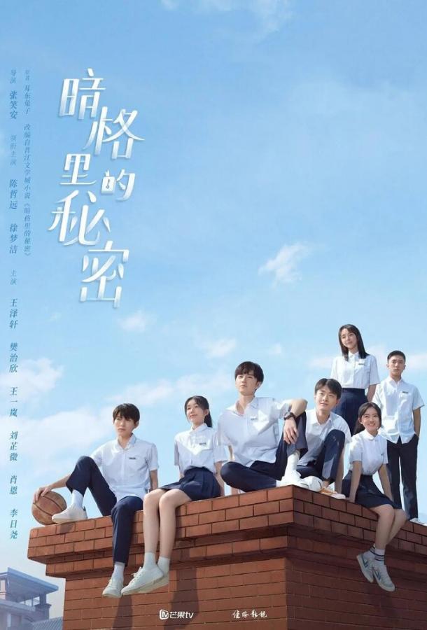 Секрет в тёмной каморке Секрет в тёмной каморке