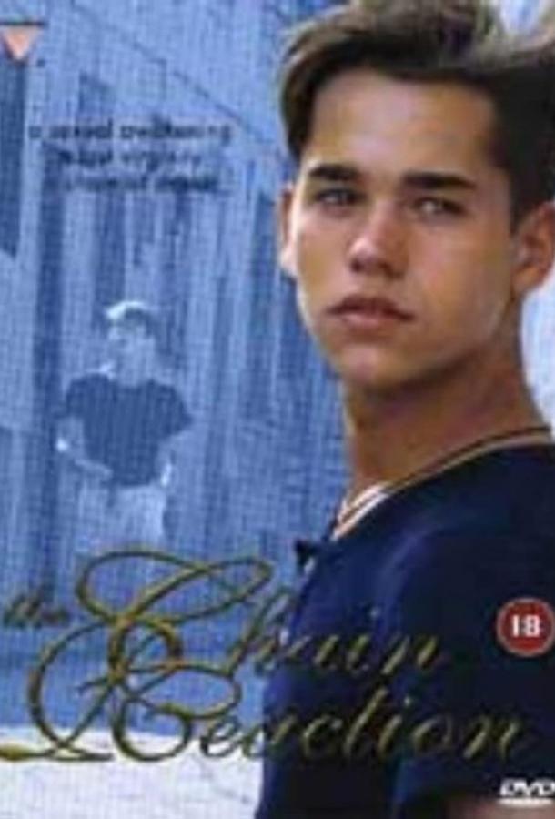 Цепная реакция Цепная реакция