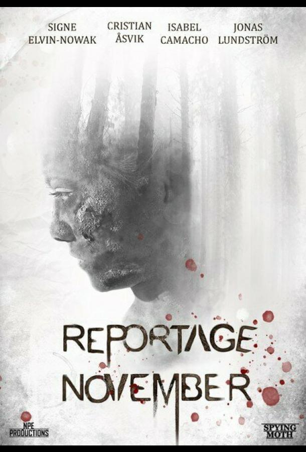 Ноябрьский репортаж Ноябрьский репортаж