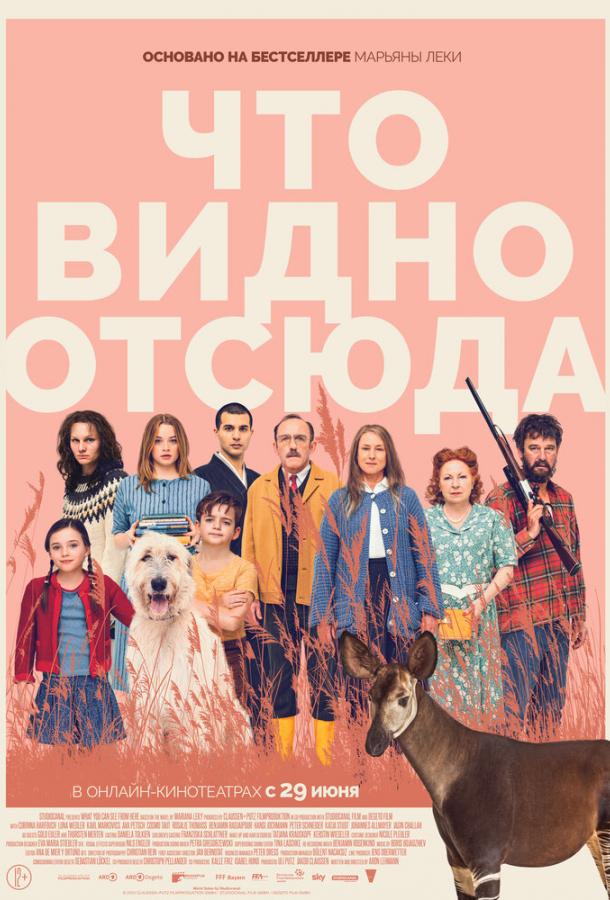 Что видно отсюда Что видно отсюда