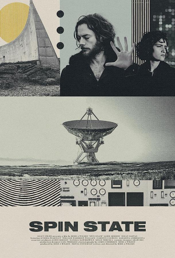 Спиновое состояние Спиновое состояние