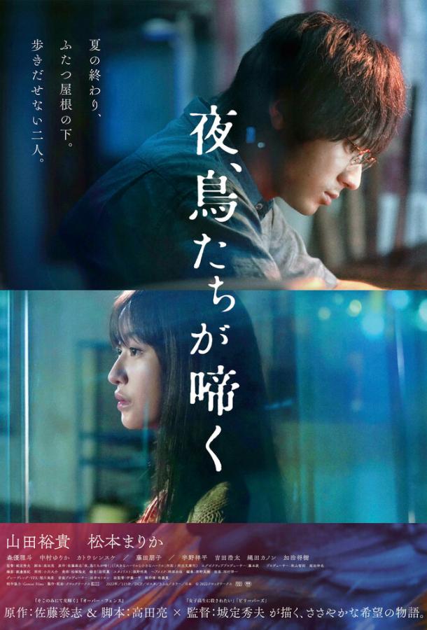 Птицы, что поют по ночам Птицы, что поют по ночам