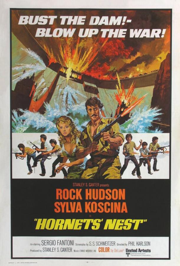 Гнездо шершней Гнездо шершней