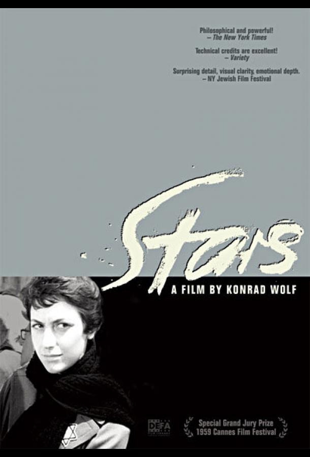 Звезды Звезды