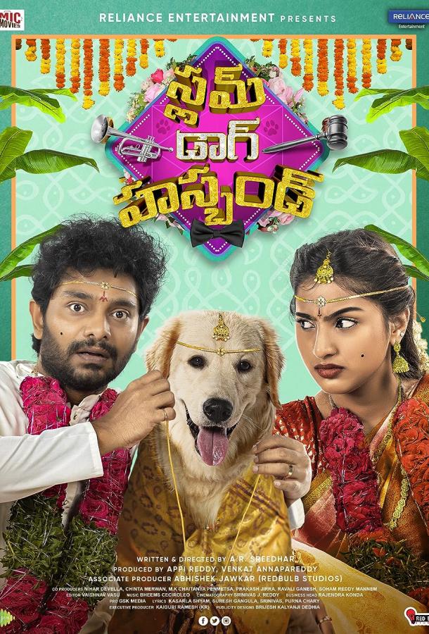 Собачий развод Собачий развод