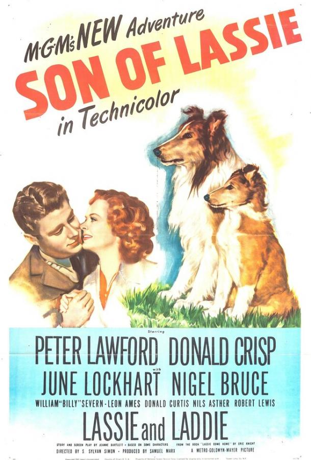 Сын Лесси Сын Лесси