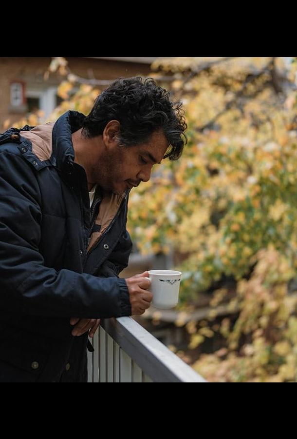 Койот Койот