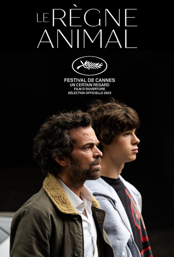 Королевство зверей Королевство зверей