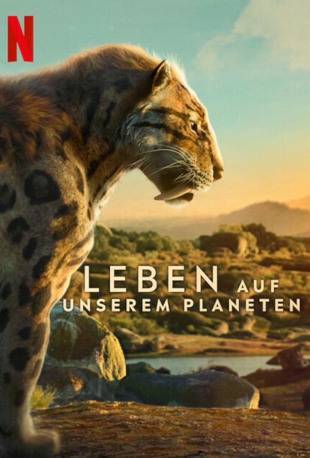 Жизнь на нашей планете Жизнь на нашей планете