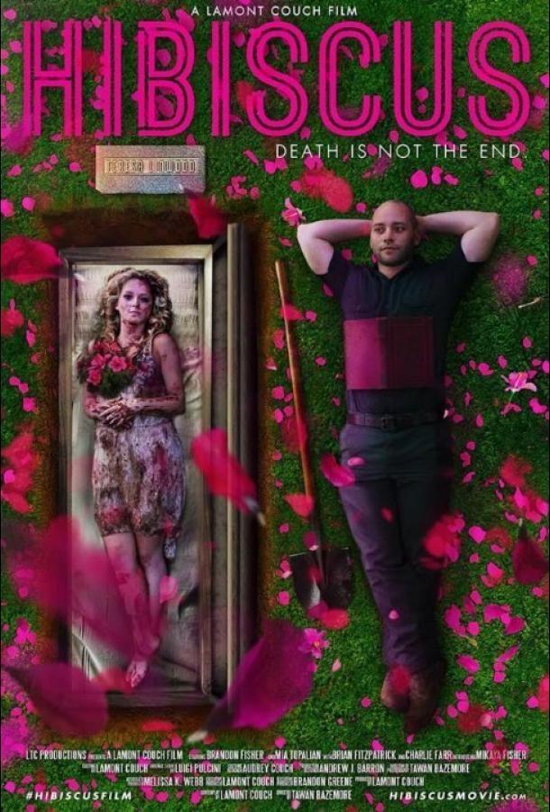 Гибискус Гибискус