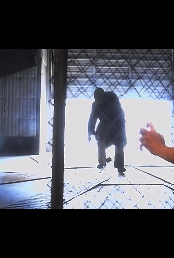 Горбун из Бель-Эйр Горбун из Бель-Эйр