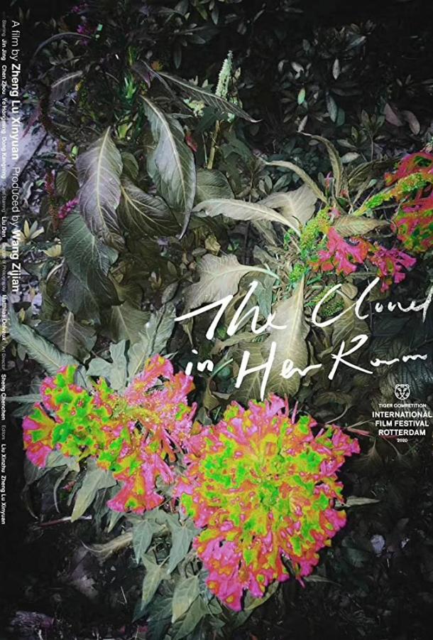 Облако в её комнате Облако в её комнате