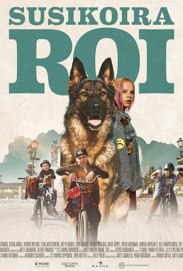 Овчарка Рой Овчарка Рой