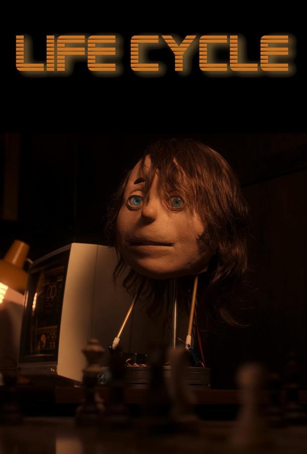 Жизненный цикл Жизненный цикл