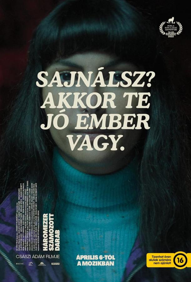 Три тысячи пронумерованных деталей Три тысячи пронумерованных деталей