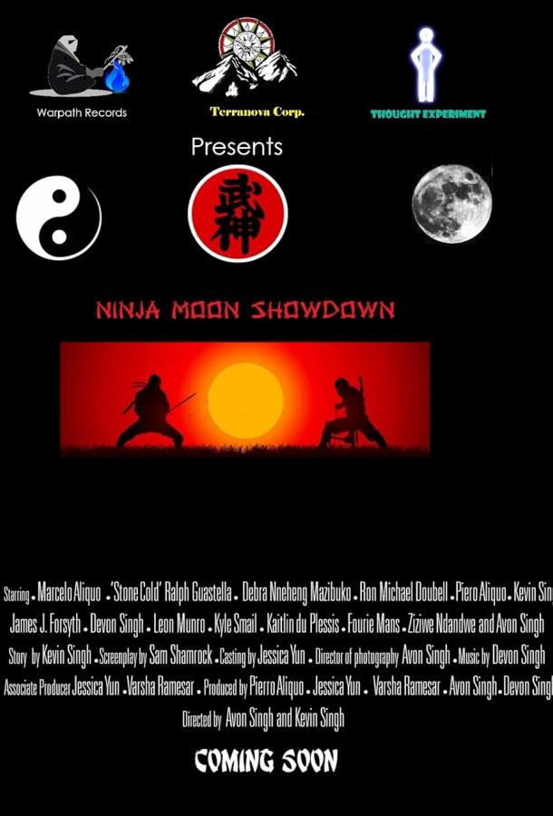 Разборки нинздзя при луне Разборки нинздзя при луне