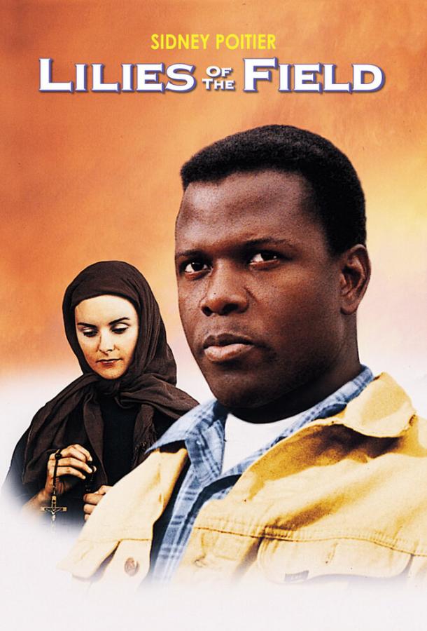 Полевые лилии Полевые лилии