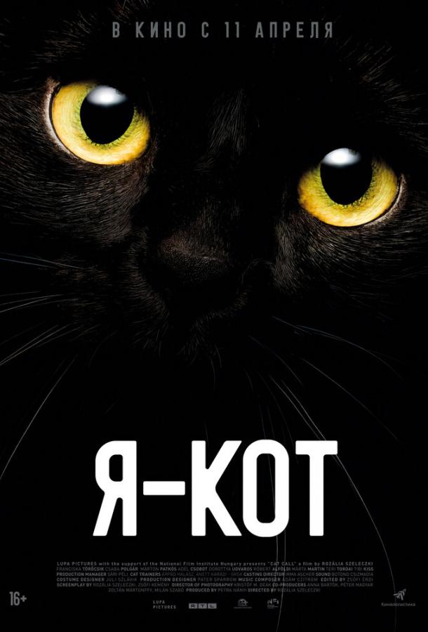 Я — кот Я — кот
