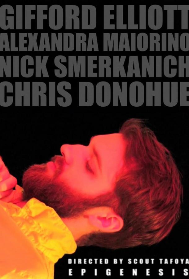 Эпигенез Эпигенез