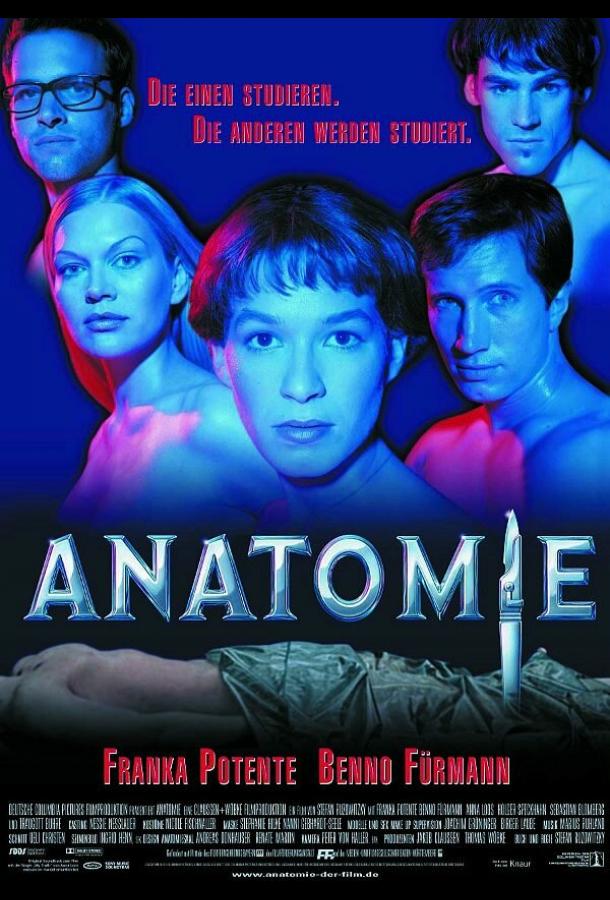 Анатомия Анатомия