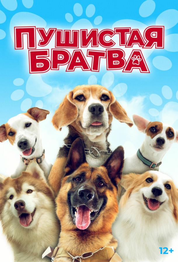 Пушистая братва Пушистая братва