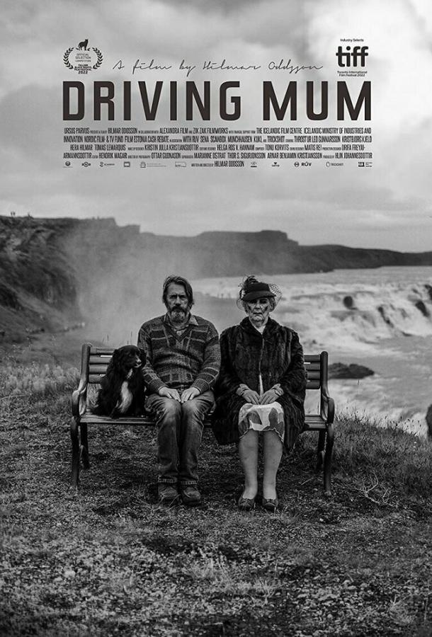 Поездка с мамой Поездка с мамой