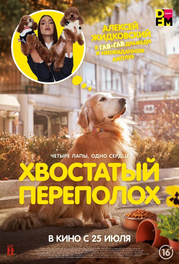 Хвостатый переполох Хвостатый переполох