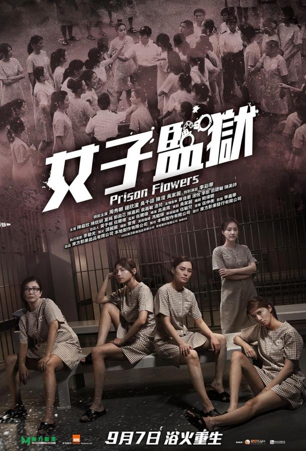 Тюремные цветы Тюремные цветы