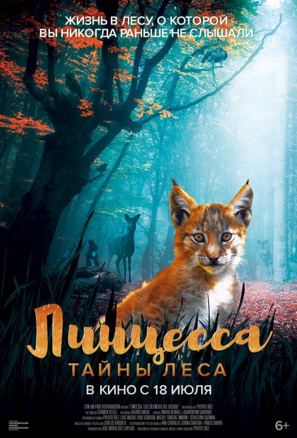 Линцесса. Тайны леса Линцесса. Тайны леса