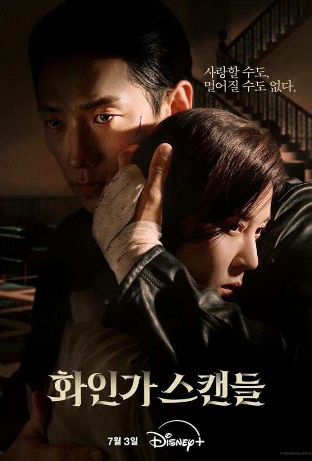 Красный лебедь Красный лебедь