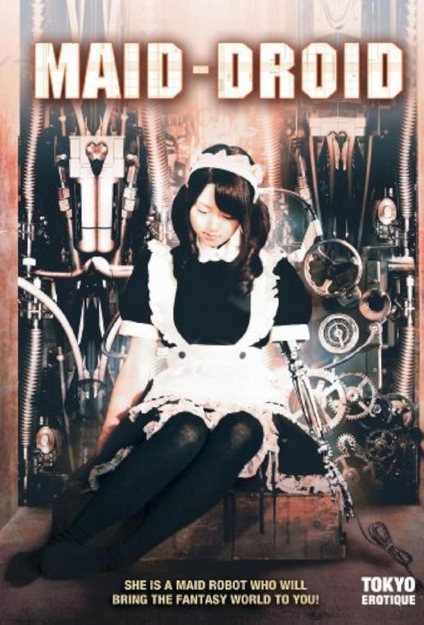 Робо-горничная Робо-горничная