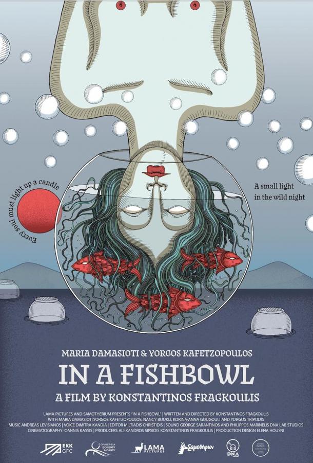 В аквариуме В аквариуме