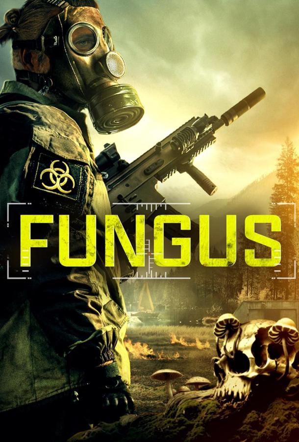 Грибок Грибок