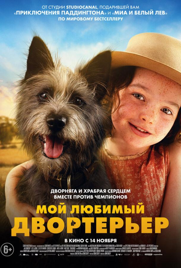Мой любимый двортерьер Мой любимый двортерьер