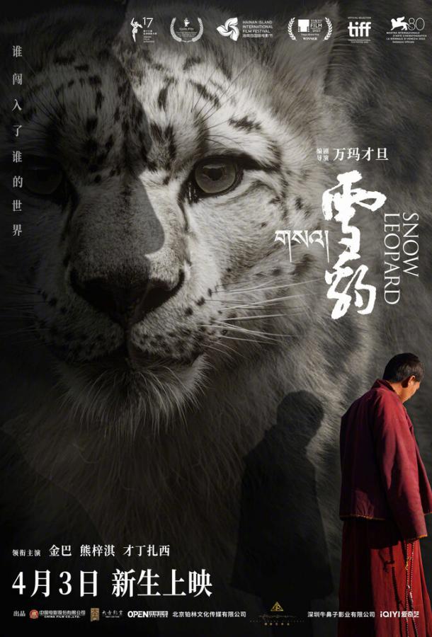 Снежный барс Снежный барс