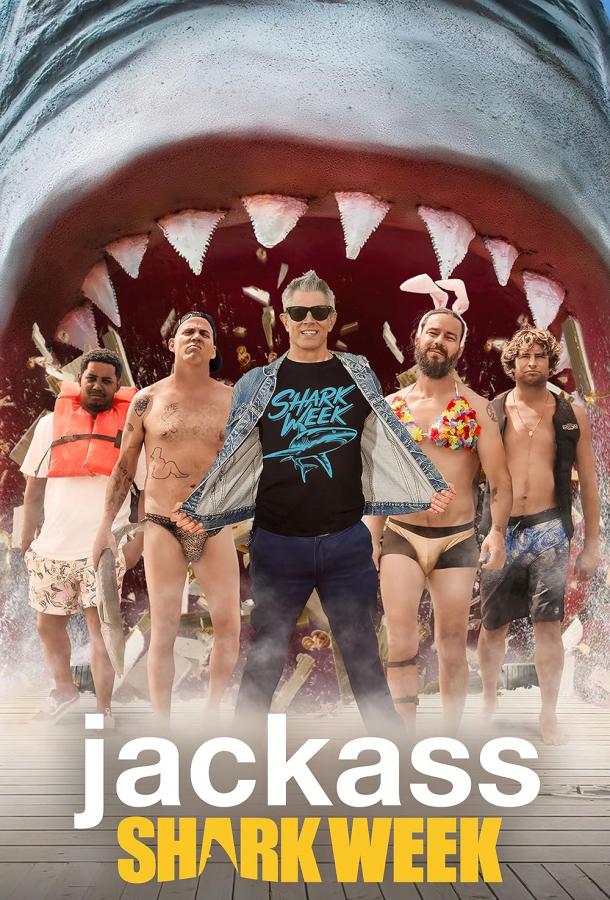 Чудаки и акулы Чудаки и акулы