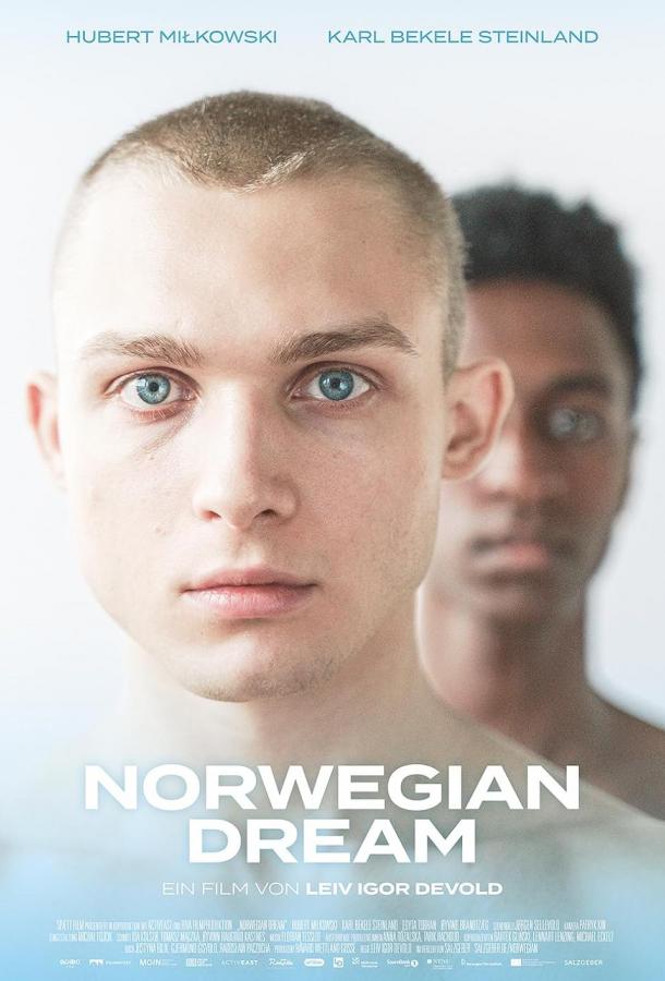 Норвежская мечта Норвежская мечта