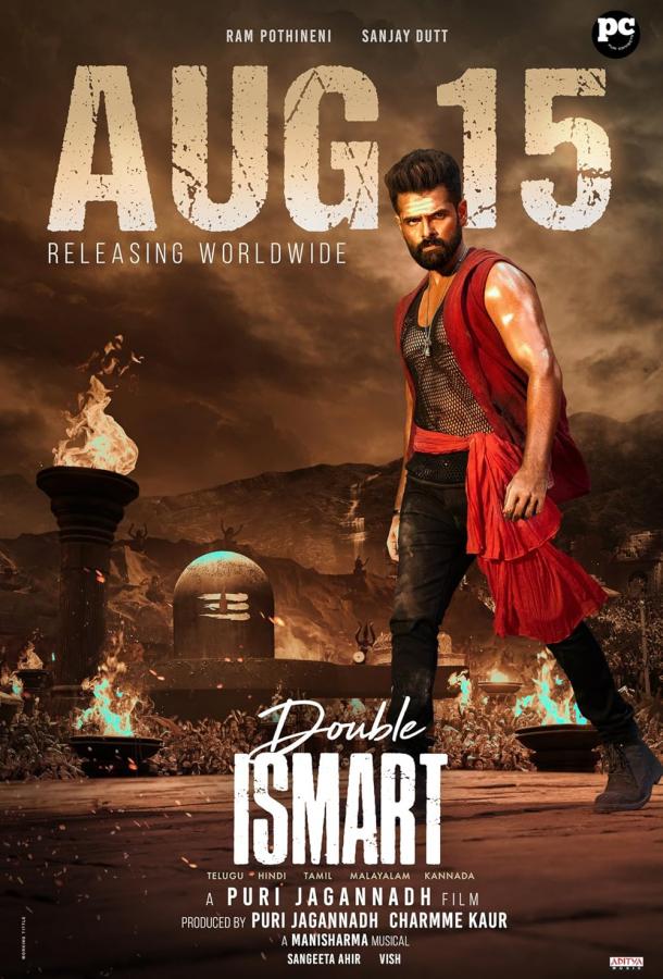 Двойной разум Двойной разум