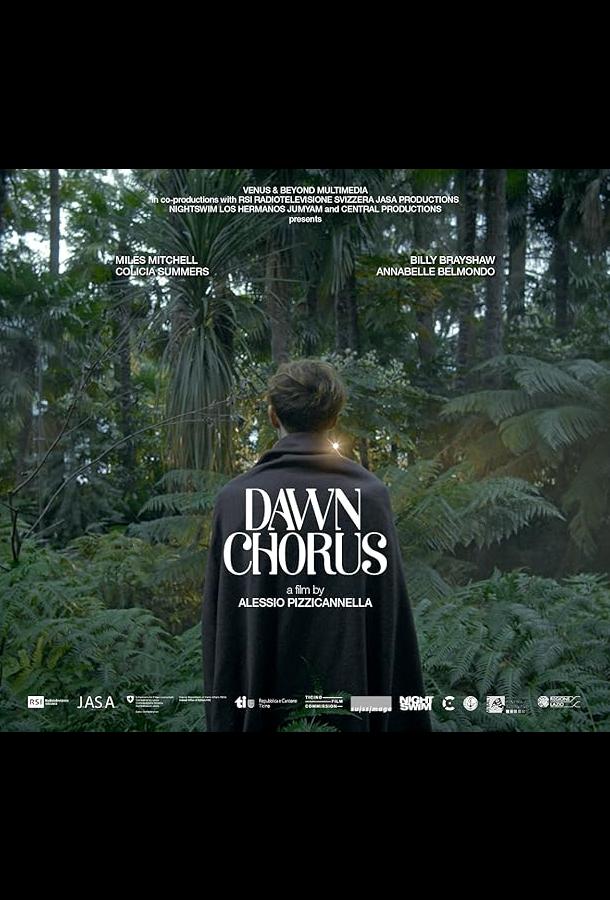 Рассветная песнь Рассветная песнь