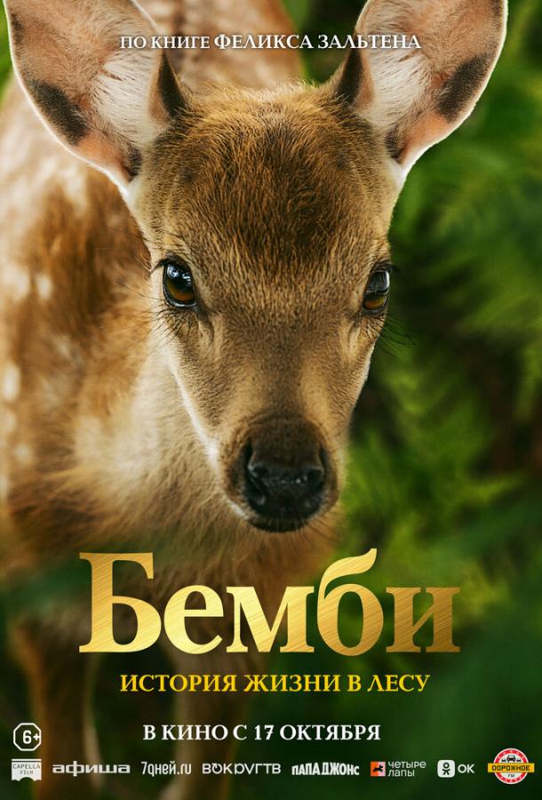 Бемби. История жизни в лесу Бемби. История жизни в лесу