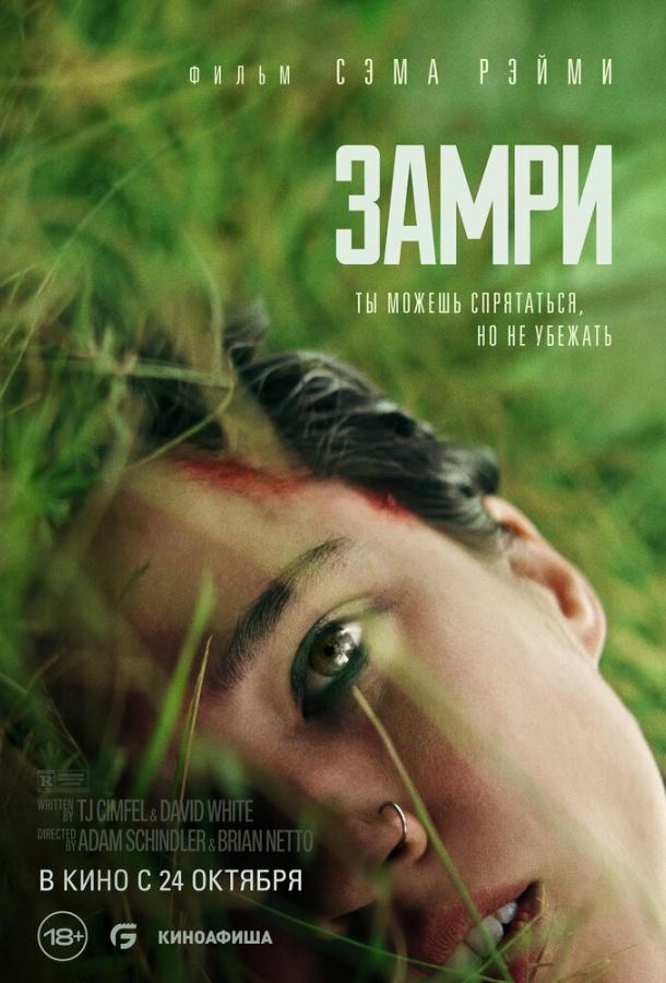 Замри Замри