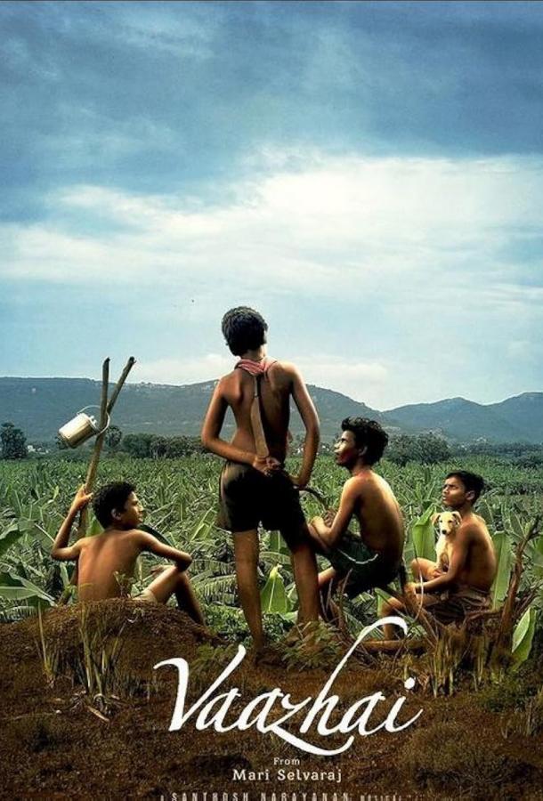 Бананы Бананы